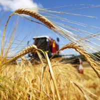 В регионе развивают аграрный сектор