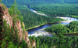Учёные из СибГУ подготовили проекты для лесного комплекса Красноярского края