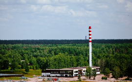 В Красноярском крае на биотопливо переведут более 45 котельных