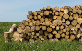 В Лесосибирске запустили новый деревообрабатывающий цех