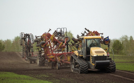 В Красноярском крае аграриям возместили часть затрат на урожай 2022 года