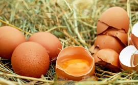 В Красноярском крае из-за дефицита яиц растут цены