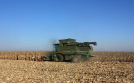 В Красноярском крае 235 млн рублей получат аграрии на производство зерновых