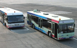 В Красноярске будут запущены круглосуточные автобусные перевозки в аэропорт Емельяново