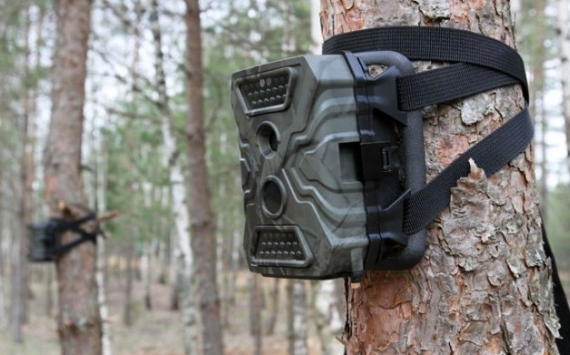 В Красноярском крае будет построена система видеонаблюдения за пожарной обстановкой в лесах