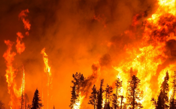 Красноярский край получит 400 млн рублей на борьбу с лесными пожарами
