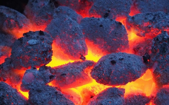 Усс рассказал о вреде сжигания угля для экологии Красноярского края