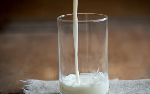 В Красноярском крае производителям молока выделили 82,6 млн рублей