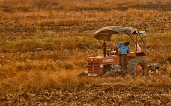 В Красноярском крае фермеры могут получить 5 млн рублей на старт бизнеса