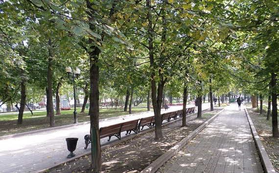 В Красноярске 10 млн рублей направят на благоустройство бульвара на Краснодарской
