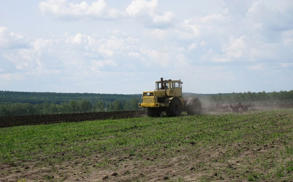 В Красноярском крае на развитие агропромышленного комплекса направят почти 10 млрд рублей