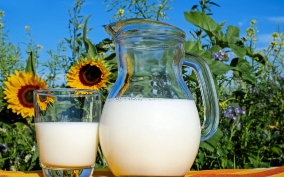В Красноярском крае за два месяца выросло производство молока