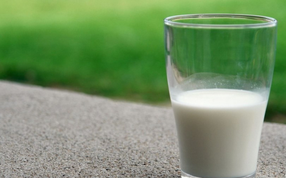 В Курагинском районе 2,8 млрд рублей вложили в комплекс по производству молока