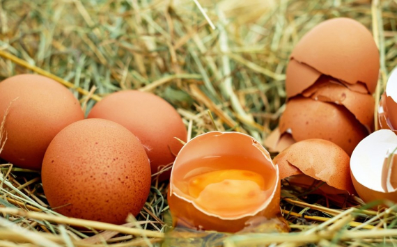 В Красноярском крае куриные яйца за год подорожали на 25%
