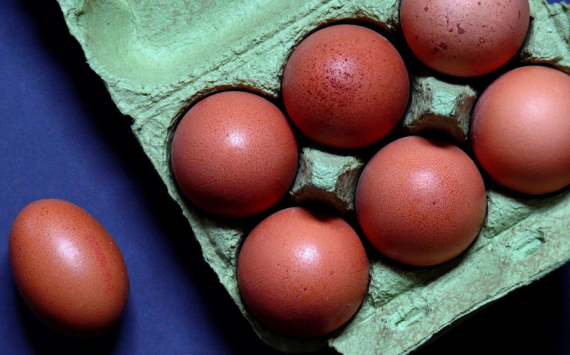 Власти Красноярского края высказались о подорожании куриных яиц