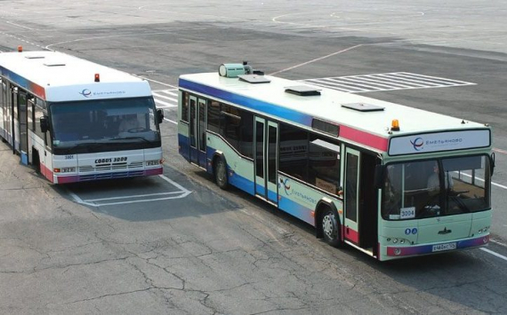 В Красноярске будут запущены круглосуточные автобусные перевозки в аэропорт Емельяново
